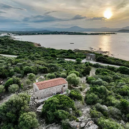 L'isola Che Non C'e Ng Collection * Ольбия