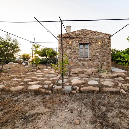 L'isola Che Non C'e Ng Collection Gospodarstwo wiejskie *