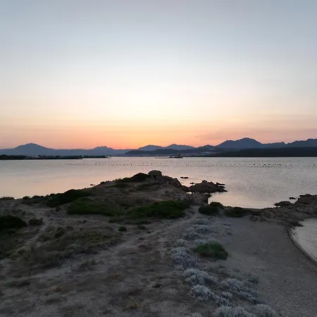 L'isola Che Non C'e Ng Collection 奧爾比亞