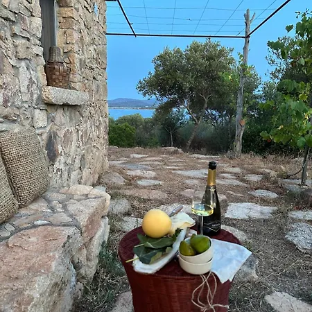 L'isola Che Non C'e Ng Collection * Olbia