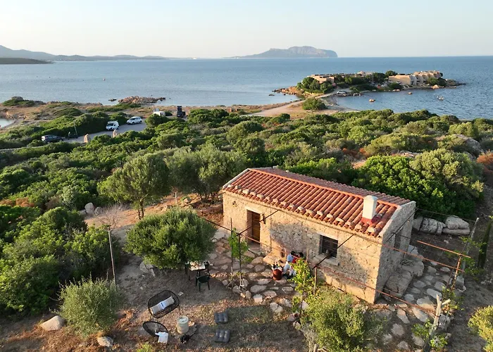 L'isola Che Non C'e Ng Collection * Olbia