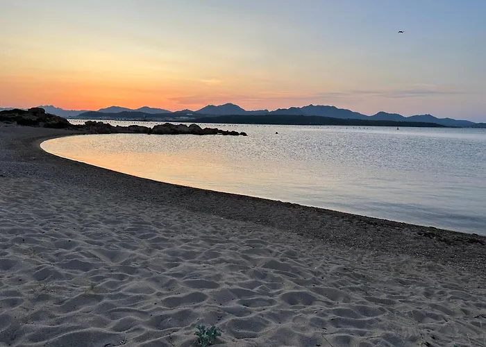 L'isola Che Non C'e Ng Collection