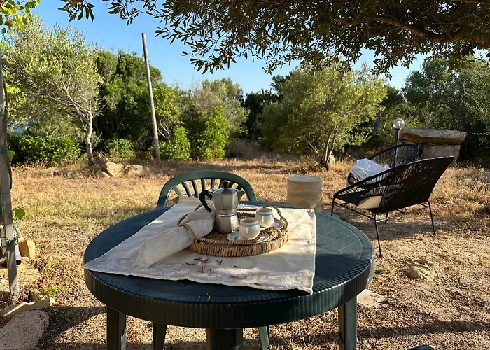 L'isola Che Non C'e Ng Collection *