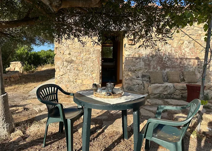 L'isola Che Non C'e Ng Collection