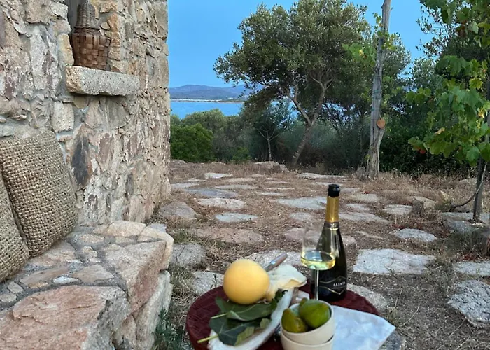 L'isola Che Non C'e Ng Collection * Olbia