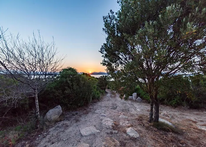 Casa de Campo L'isola Che Non C'e Ng Collection *