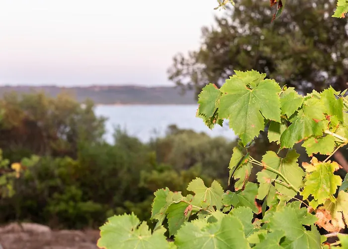 L'isola Che Non C'e Ng Collection *